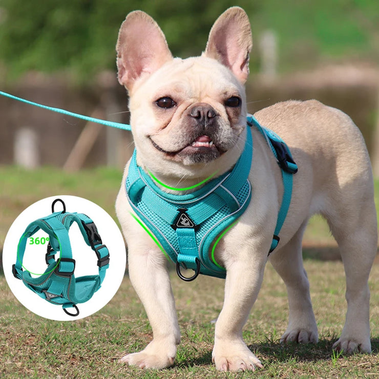 No Pull Harness and Leash Set