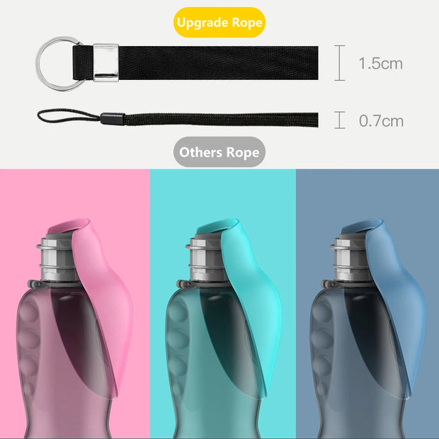 Portable Water Bottle