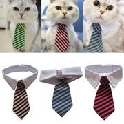 Striped Bow Tie Collar