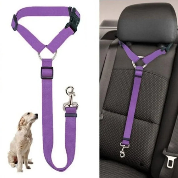 Adjustable Backseat Safety Belt