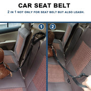 Adjustable Backseat Safety Belt