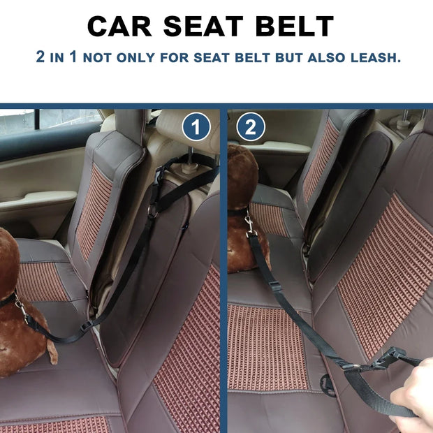 Adjustable Backseat Safety Belt