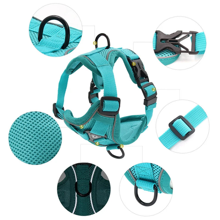 No Pull Harness and Leash Set