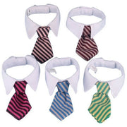 Striped Bow Tie Collar