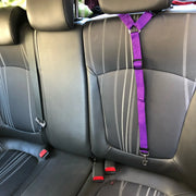 Adjustable Backseat Safety Belt