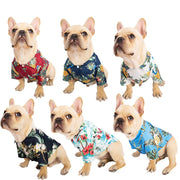 Hawaiian Shirts