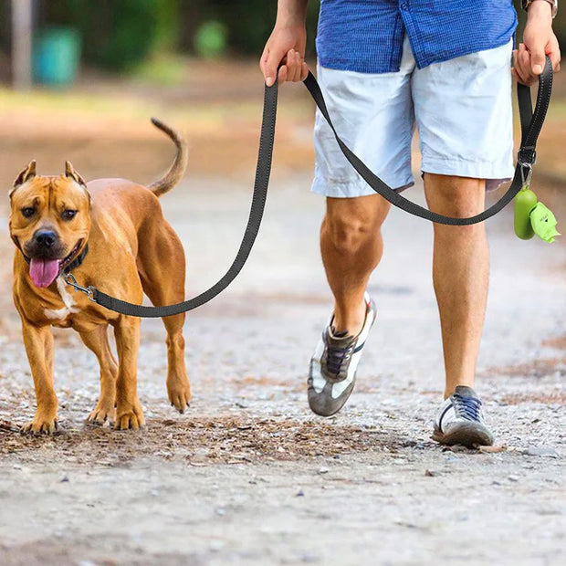 Night Reflection Leash